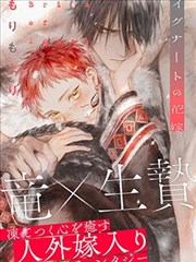 蜜桃漫画索引卡封面示例：完结注记卡