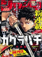 蜜桃漫画术语图鉴：星期码与档期带示意